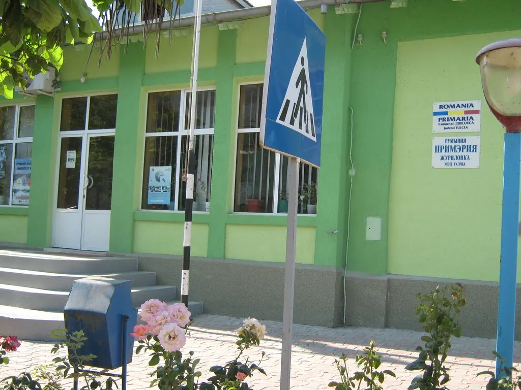 Pesta porcină africană, confirmată şi la Jurilovca