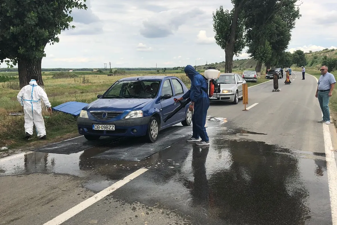 Județul Tulcea, oficial izolat din cauza pestei porcine africane!