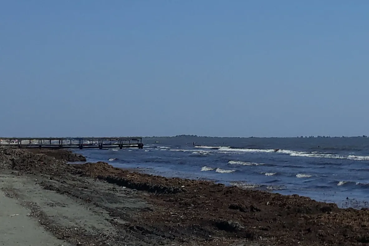 Plaja Sulina, plină de alge putrezite