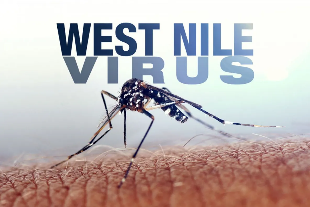 Alarmant: Primul caz de infecţie cu West Nile confirmat şi la Tulcea!