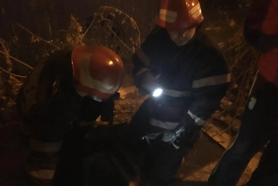 Un câine captiv de câteva zile într-un rezervor îngropat, a fost salvat de pompieri