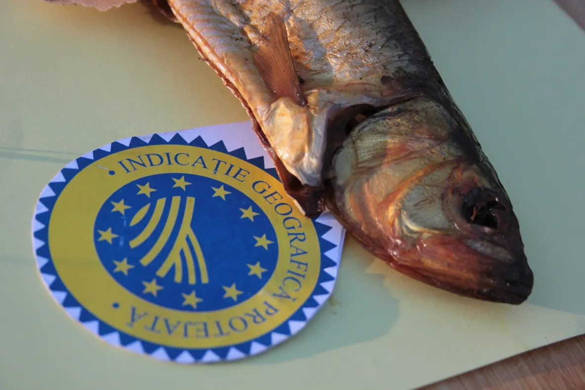 Scrumbia de Dunăre afumată a intrat în patrimoniul culinar european!