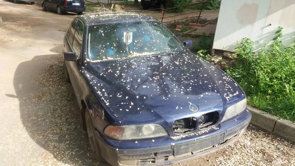 Accident pe DN22, între localitățile Somova și Isaccea