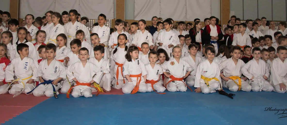 O duzină de medalii de aur pentru Nippon Budo Sport la Cupa Moldovei