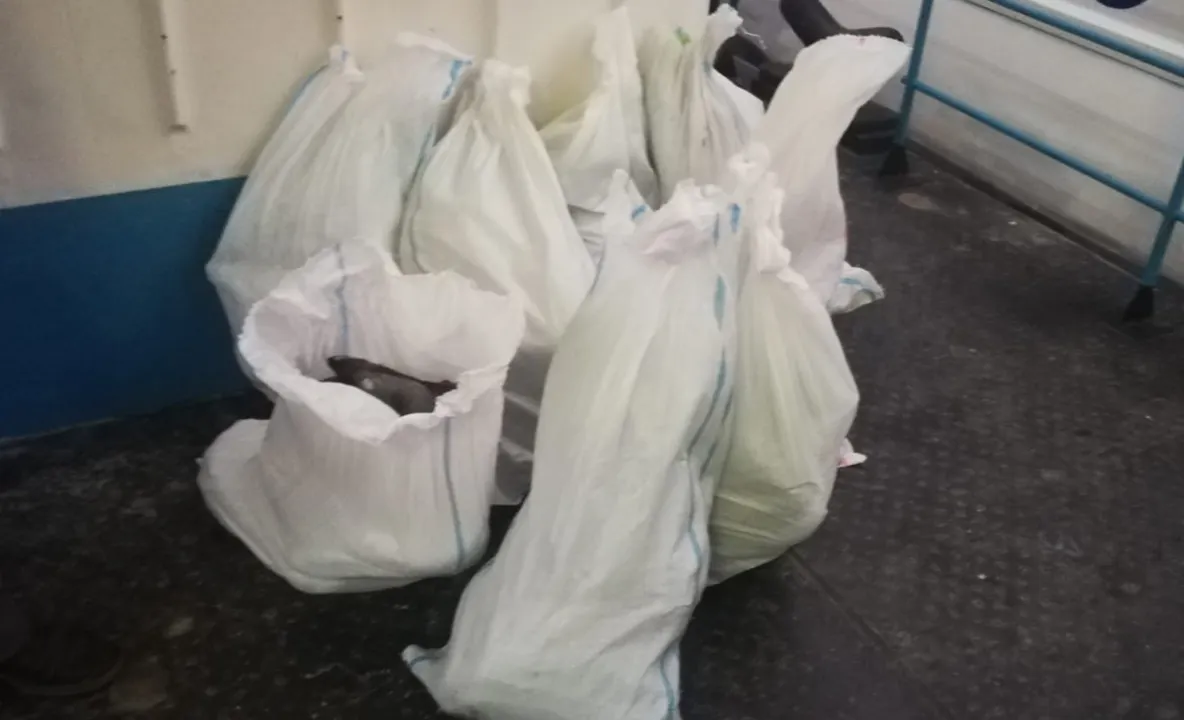 160 kilograme de peşte confiscate de polițiștii de frontieră