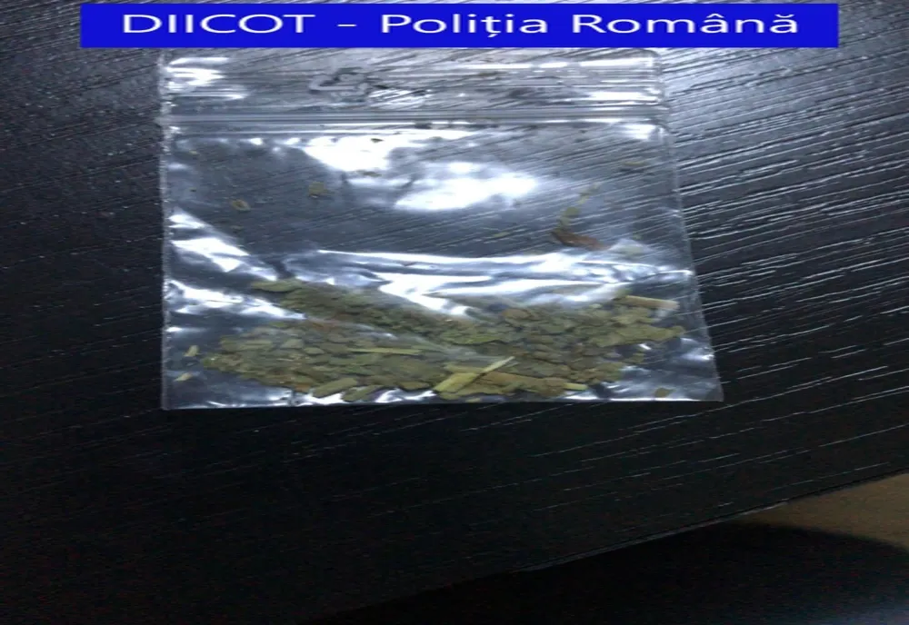 Doi bărbați din Tulcea au fost arestați preventiv, marți, după ce luni au plecat la Constanța, trecând în declarație că merg să cumpere bunuri de bază, dar s-au întors acasă cu droguri