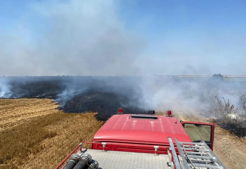 Pompierii militari în alertă. Incendiu de vegetație uscată