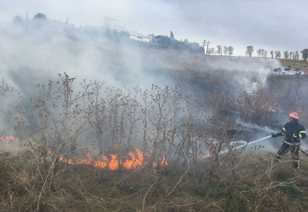Incendiu violent în apropierea municipiului Tulcea