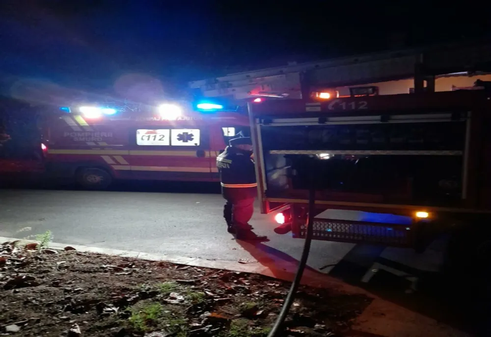 FOTO Incendiu violent în Carcaliu. De la ce au pornit flăcările