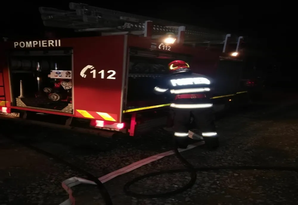 VIDEO Casă cuprinsă de flăcări la Vișina