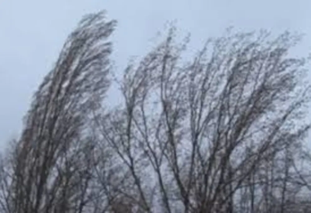 Cod galben de VÂNT în Dobrogea