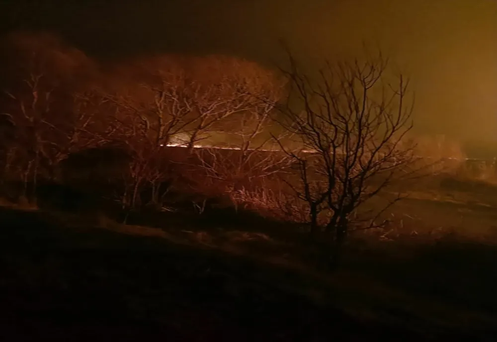 VIDEO Incendiu uriaș în Delta Dunării