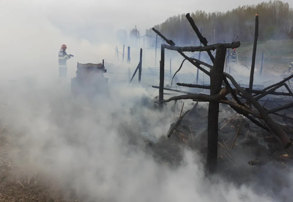 Incendiu la un saivan din Măcin. 100 de oi au ars de vii