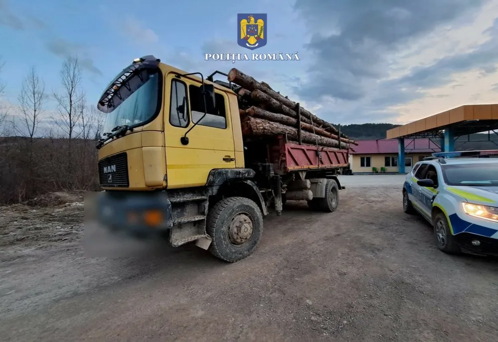 Decizie controversată. Confiscarea camioanelor care transportă ilegal lemn, scoasă din Codul Silvic!