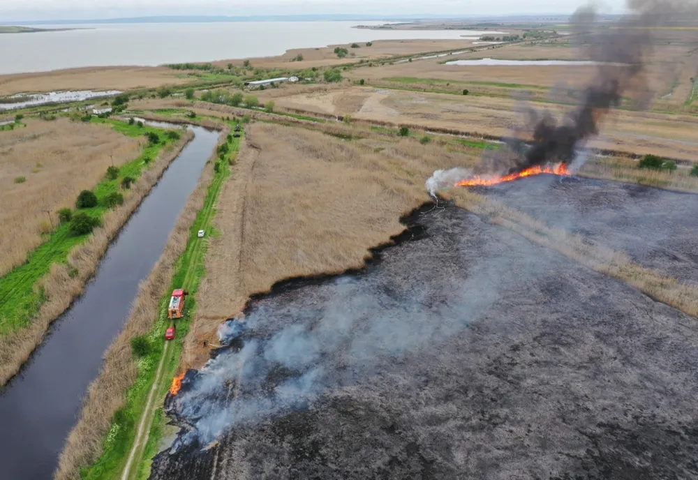VIDEO  Incendiu violent în județul Tulcea. Zeci de hectare de stuf în flăcări