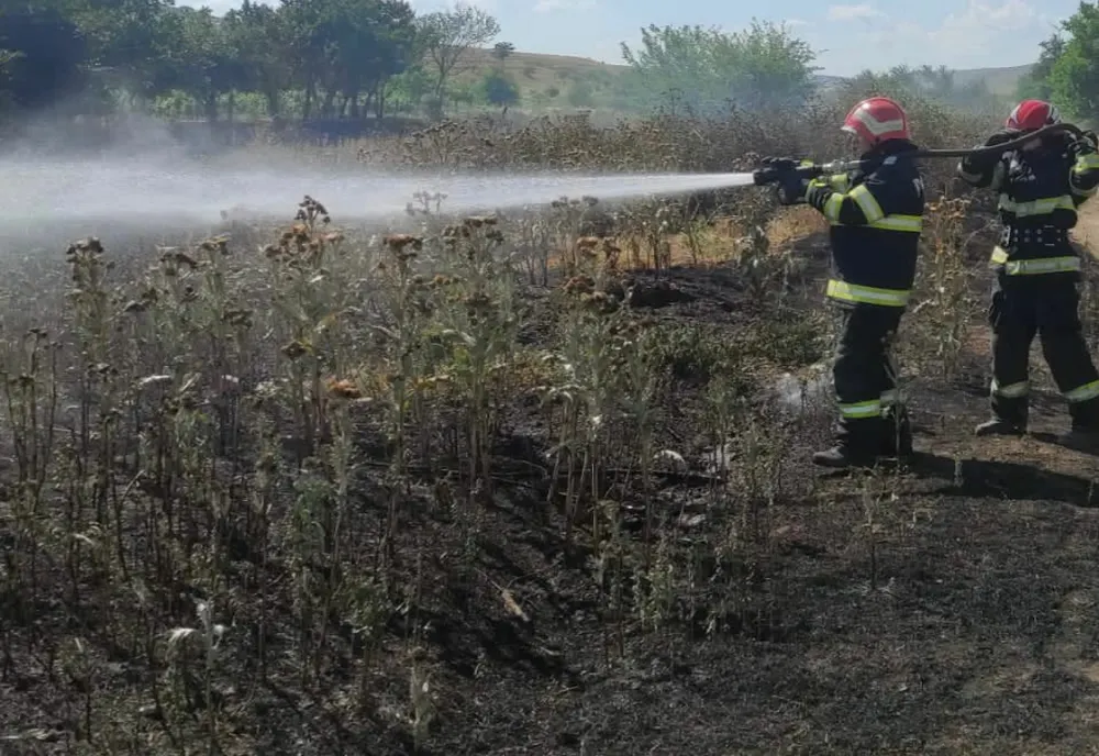 15 hectare de vegetație uscată făcute scrum, în Tulcea