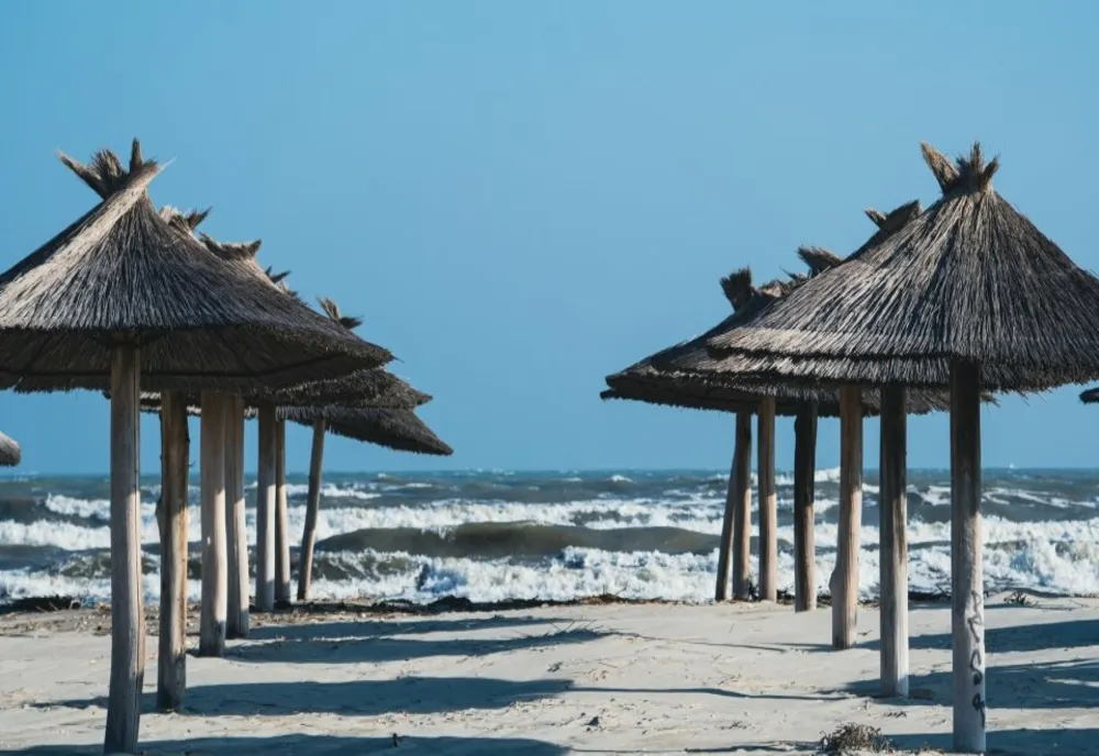 Alertă în Marea Neagră: Alge otrăvitoare determină interzicerea pescuitului