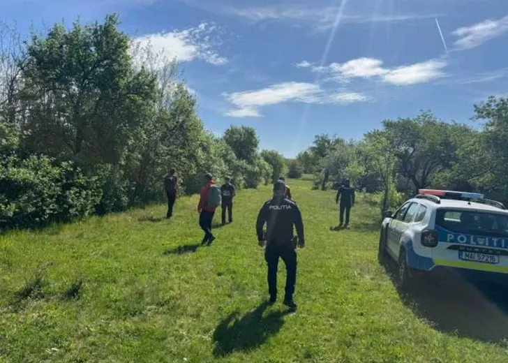 Miracol în Botoșani: o femeie de 94 de ani a supraviețuit trei zile în pădure. Rolul incredibil al câinilor