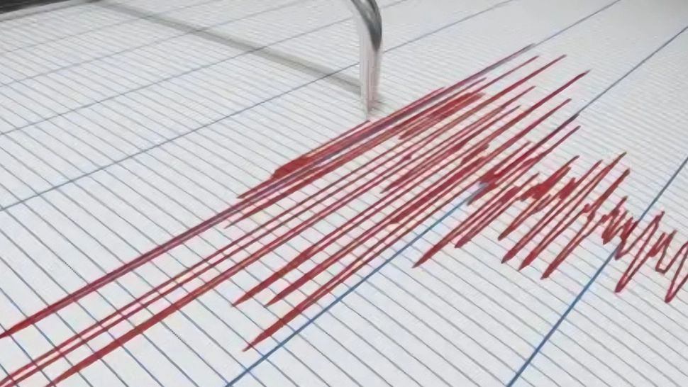 Cutremur însemnat, resimțit la Tokyo. Ce magnitudinea a avut seismul