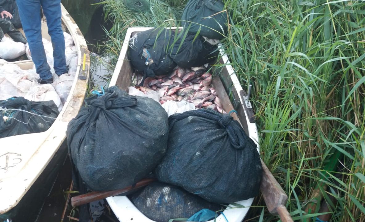 Peste 600 kg de pește și plase de pescuit cu fir textil, confiscate de polițiștii de frontieră