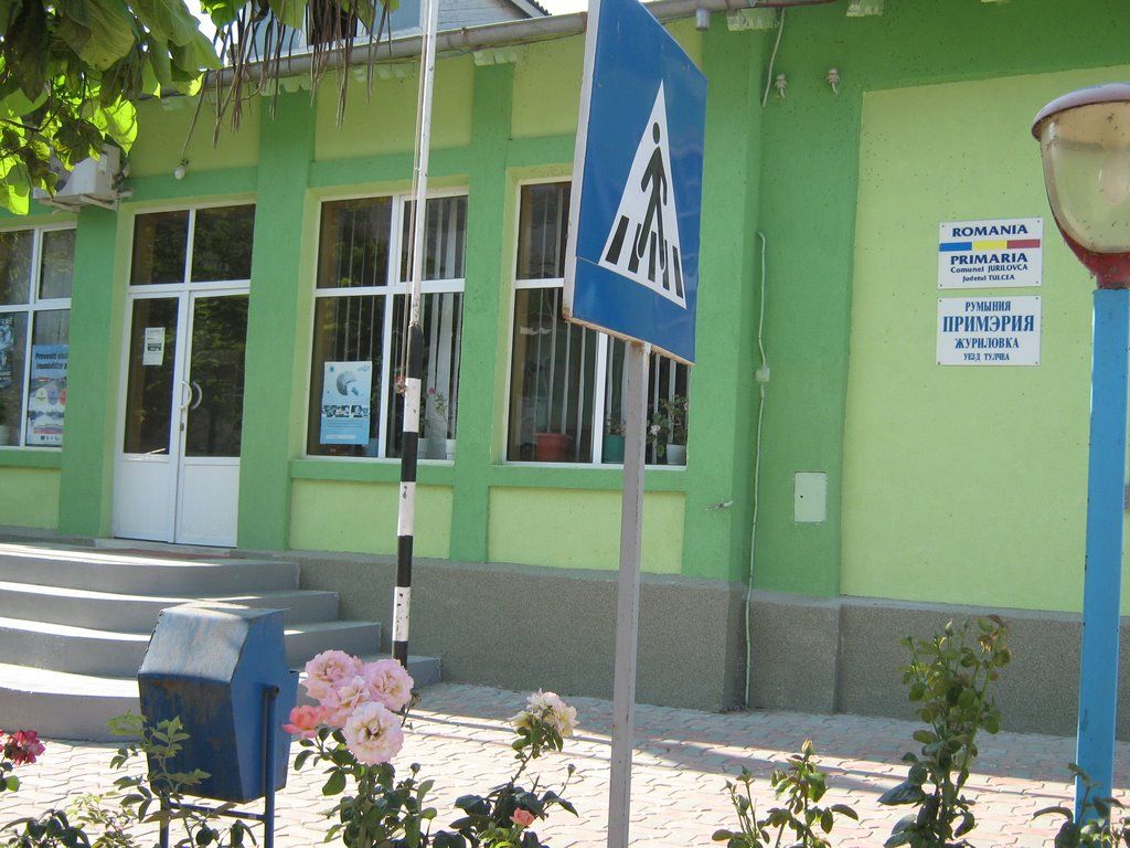 Pesta porcină africană, confirmată şi la Jurilovca