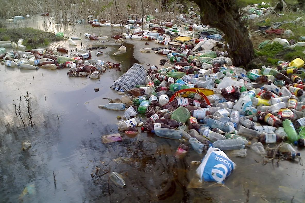 50.000 de lei amendă pentru o primărie din Delta Dunării!