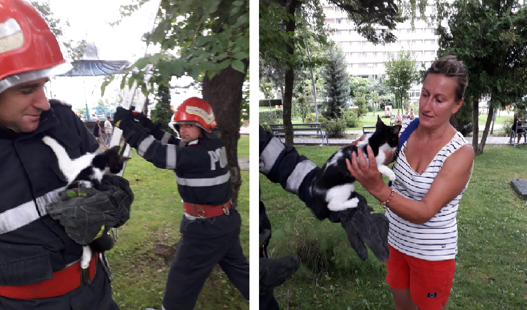O pisică a fost salvată de pompieri
