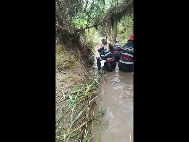 Doi copii de 3 şi 7 ani şi bunica lor au murit luaţi de viitură, la Măgurele. Bunicul este încă dat dispărut