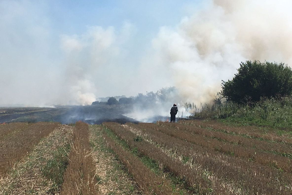 Zece hectare de vegetaţie uscată au ars lângă Agighiol