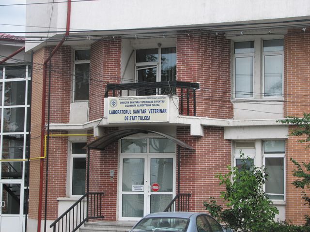 Misiunea de audit a Comisiei Europene privind pesta porcină africană a ajuns la DSVSA Tulcea!