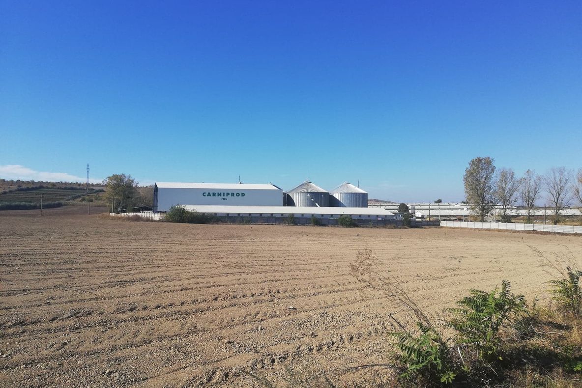 Carniprod va produce nutreţuri pentru România şi ţările arabe