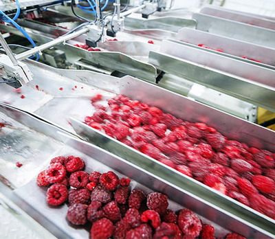 La Tulcea nu se acordă sprijin cuplat pentru fructe destinate industrializării