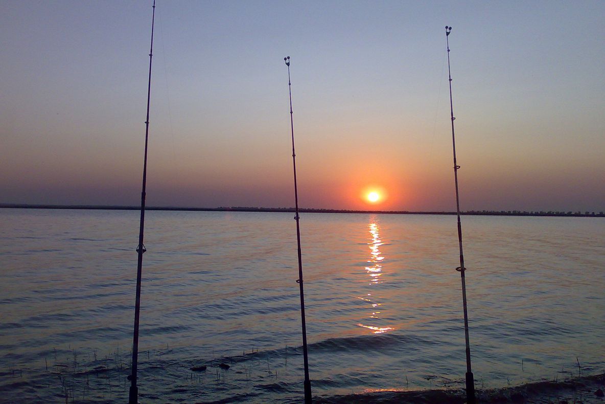 A fost publicat Ordinul privind stabilirea perioadelor şi zonelor de prohibiţie a pescuitului pentru anul 2019