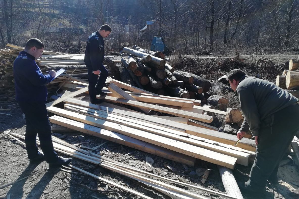 S-a deschis „Grădina Bio a Europei” la Târgul de Turism al României