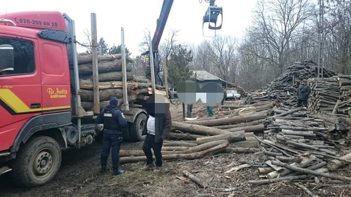 ,,Radarul pădurilor" e la Jandarmeria Tulcea!