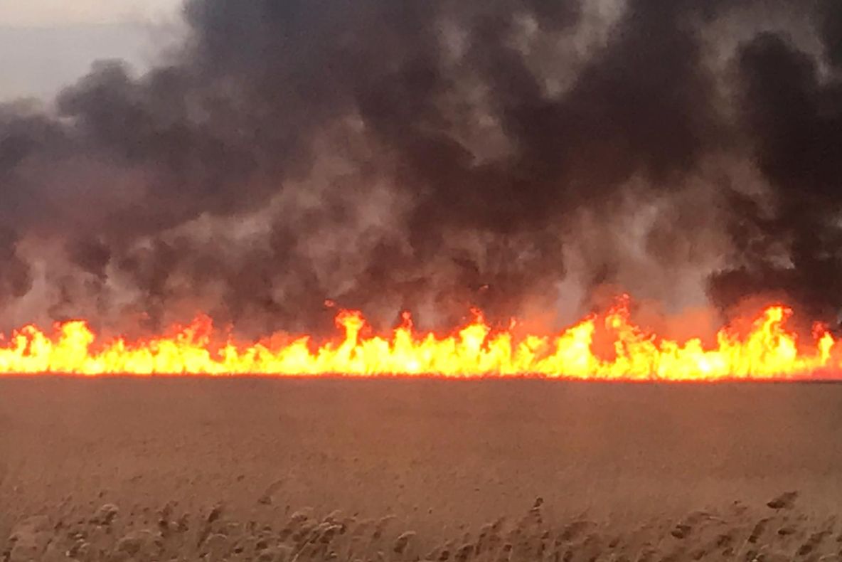 La Baia ard 100 de hectare de vegetaţie uscată şi stuf!