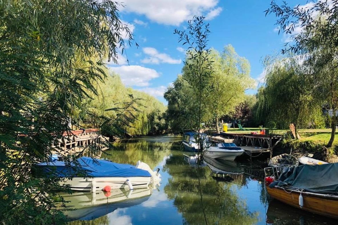 Proiectul de lege pentru modificarea şi completarea Legii Rezervaţiei adoptat de Senat!