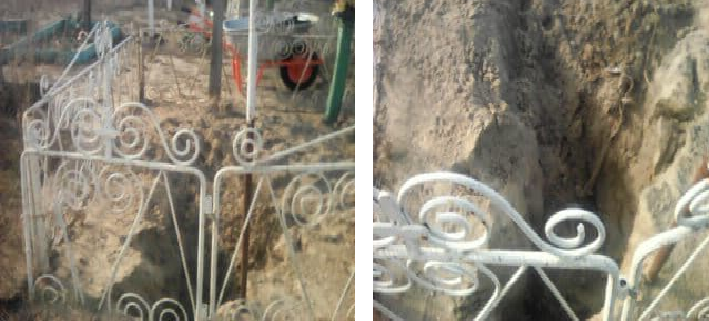 Scenarii horror la Caraorman, în Delta Dunării. Şacalii dezgroapă morţii din cimitir!