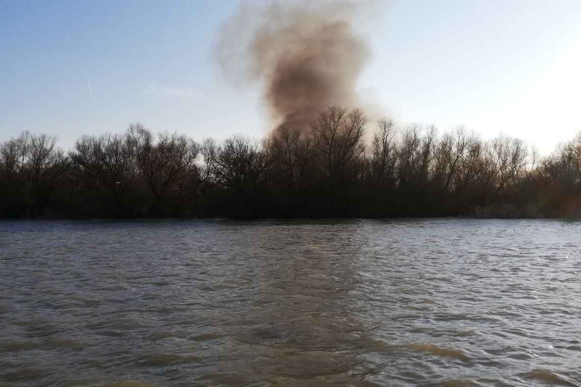 Incediu într-o zonă strict protejată din Delta Dunării