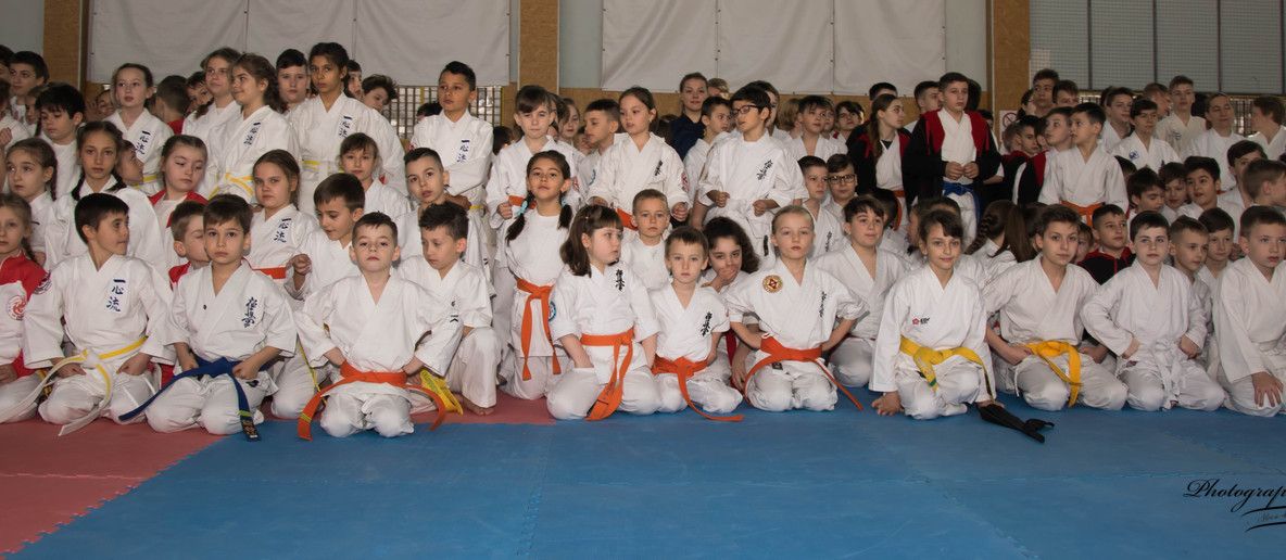 O duzină de medalii de aur pentru Nippon Budo Sport la Cupa Moldovei