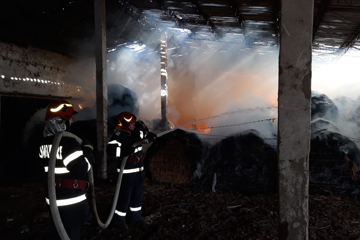 Şase ore de infern! Incendiu de amploare la Smârdan. Au ars 150 de baloţi mari de lucernă.