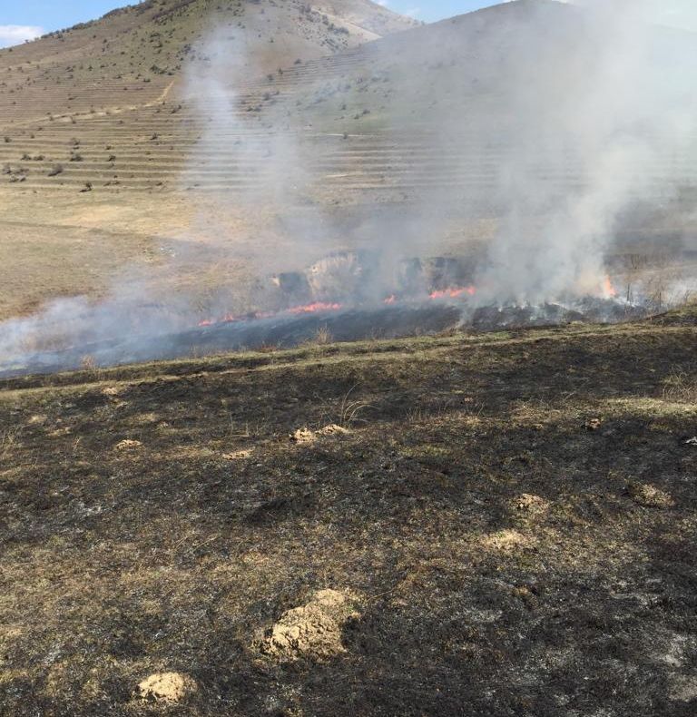 Incendii de vegetaţie uscată la Beştepe şi suburbia Tudor Vladimirescu
