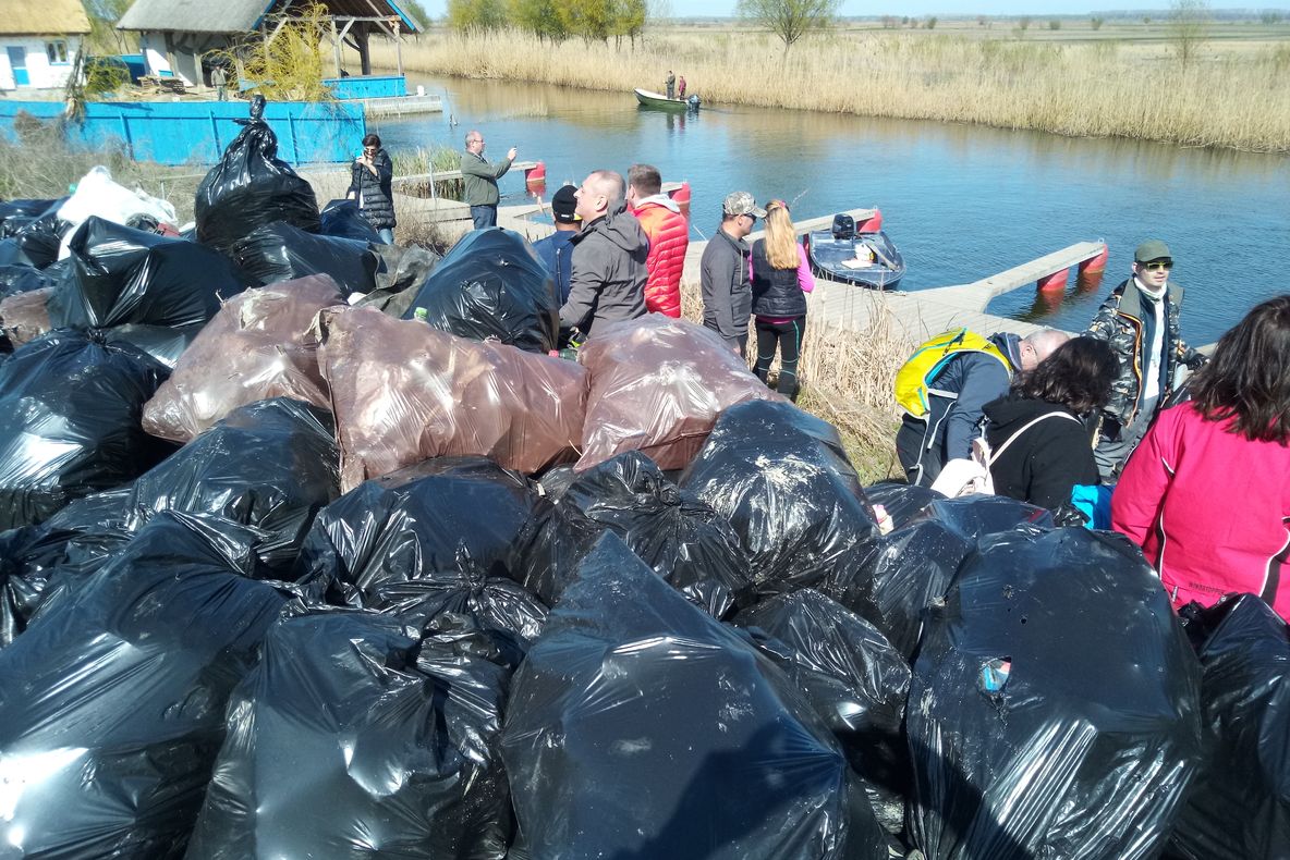 Acțiune de ecologizare la Dunavățul de Jos