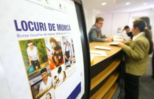 AJOFM organizează mâine Bursa Locurilor de Muncă