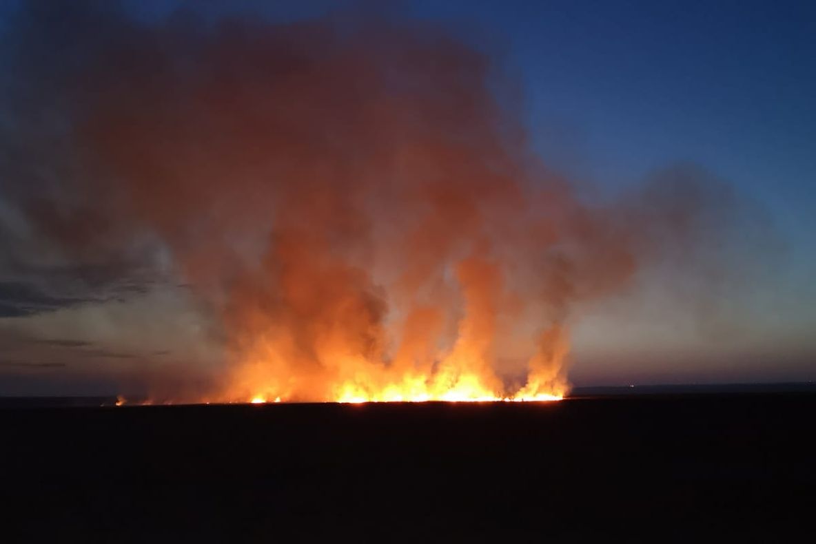 Incendiu la Smârdan lângă un rastel cu 21 de butelii GPL!