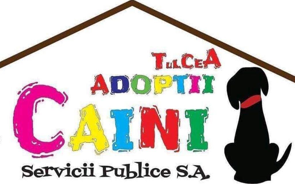 “Sunt salvat! M-au Adoptat!” - episodul şapte!