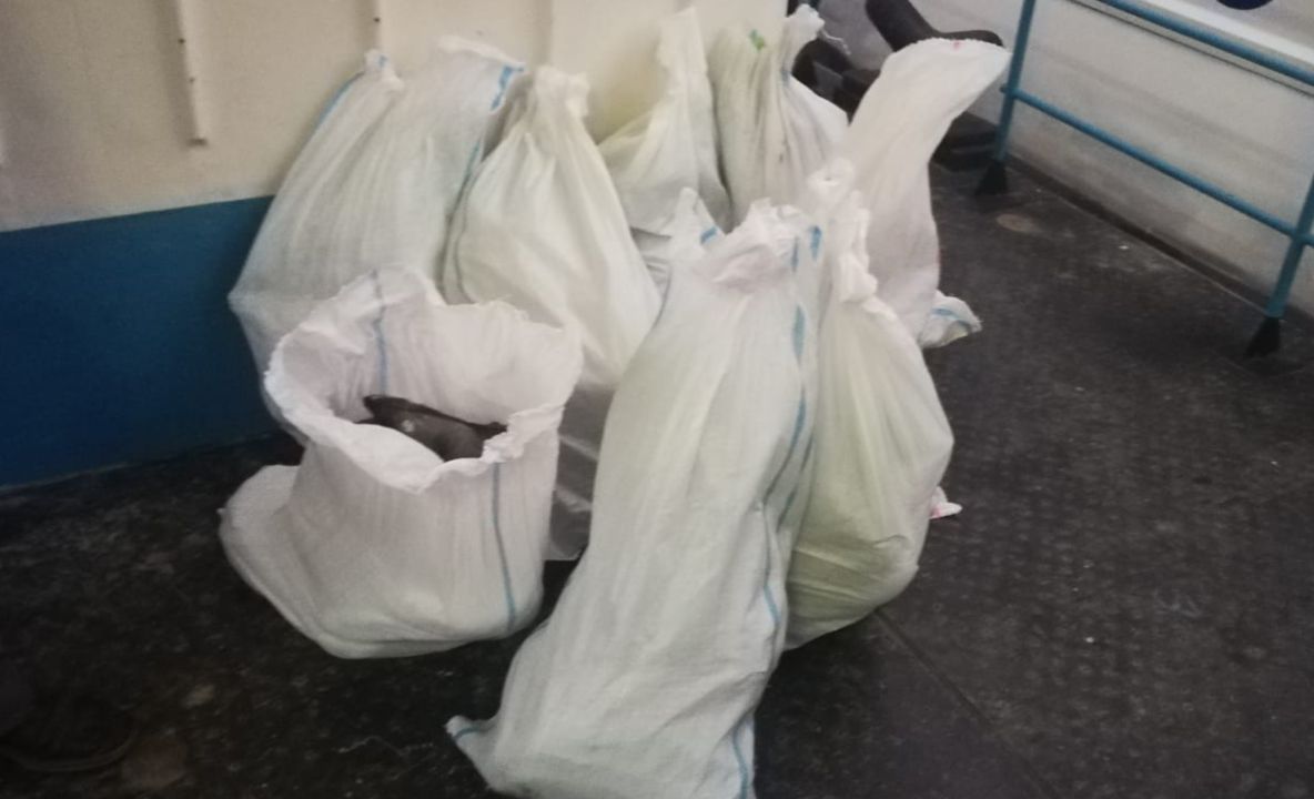 160 kilograme de peşte confiscate de polițiștii de frontieră