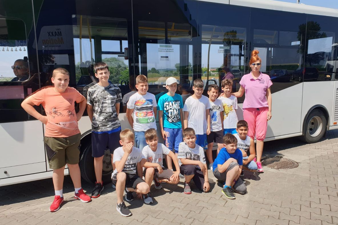 Cal căzut într-o râpă, salvat de pompieri!