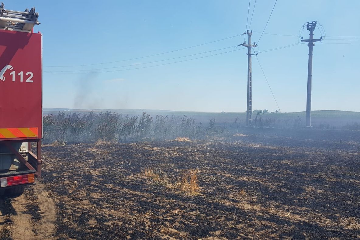 17 hectare de miriște și cultură au ars la Baia            