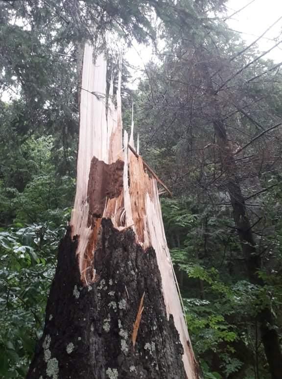 Festivalul „Întoarcerea la vatră“ de la Beștepe, la a doua ediție